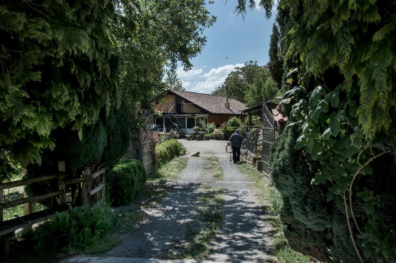 La Locanda Degli Elfi วิจจาเนลโล ภายนอก รูปภาพ