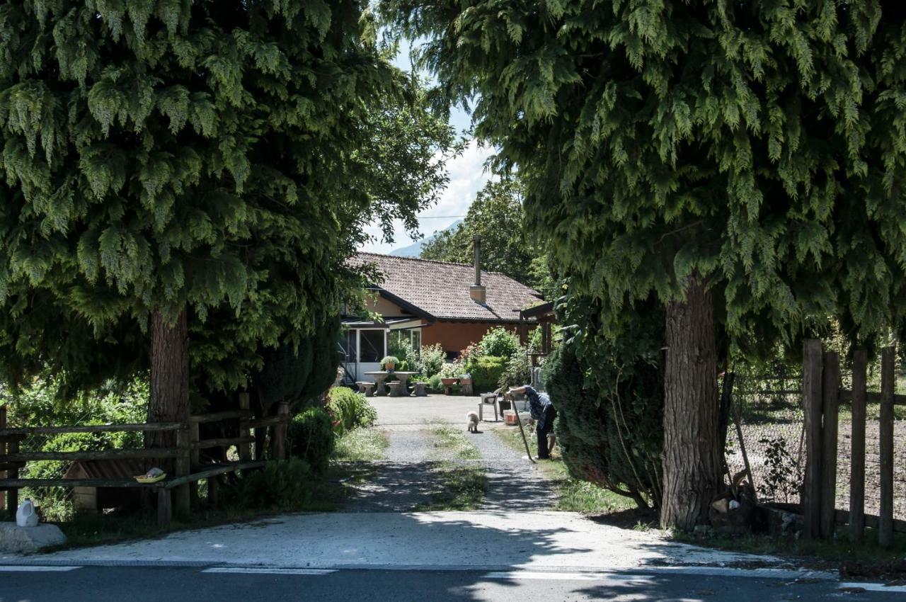 La Locanda Degli Elfi วิจจาเนลโล ภายนอก รูปภาพ